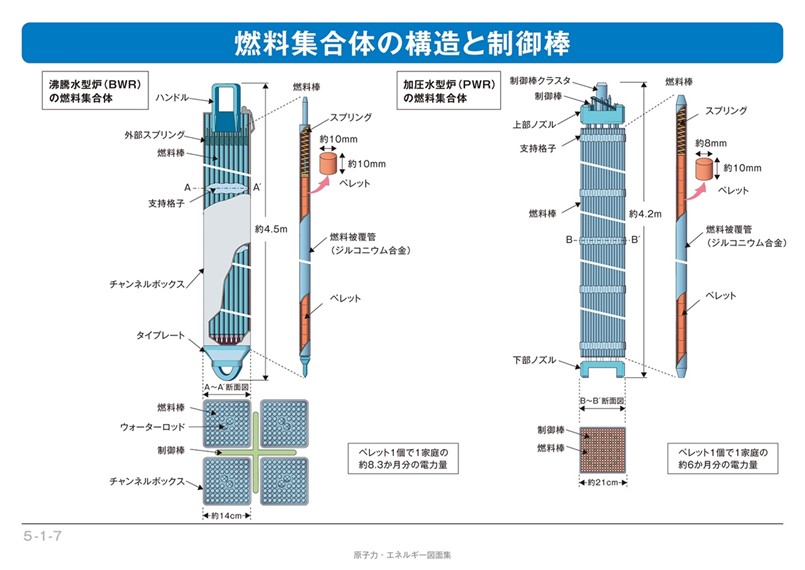 沸騰水型原子炉（BWR）と加圧水型原子炉（PWR）の燃料集合体